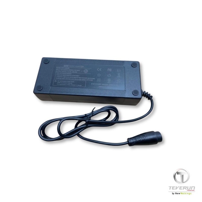 Minimotors - Neumático sin cámara CST de 10" para miniscooter eléctrico Teverun Fighter