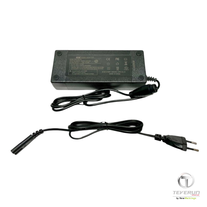 Cargador para patinete eléctrico Minimotors Teverun Fighter 11